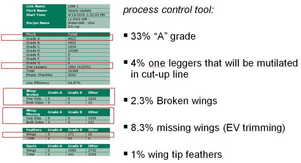 email-layout.jpg